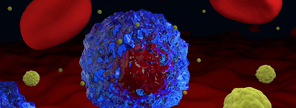 Polymeric Carrier